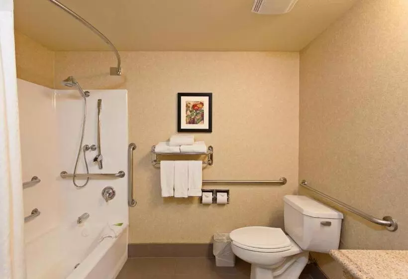 اتاق استاندارد با تخت بزرگ, Holiday Inn Express Temecula, An Ihg