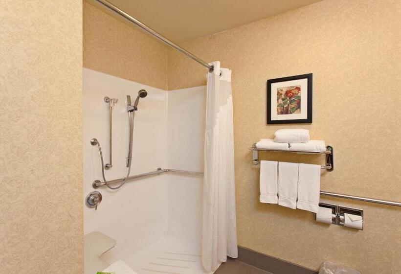 غرفة قياسية سرير كينج لذوى الإحتياجات الخاصة, Holiday Inn Express Temecula, An Ihg