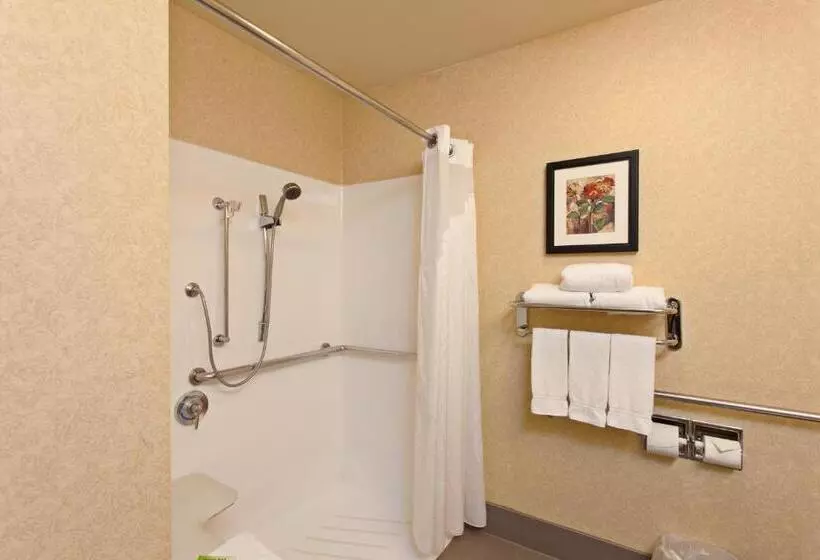 اتاق استاندارد با تخت بزرگ برای معلولان, Holiday Inn Express Temecula, An Ihg
