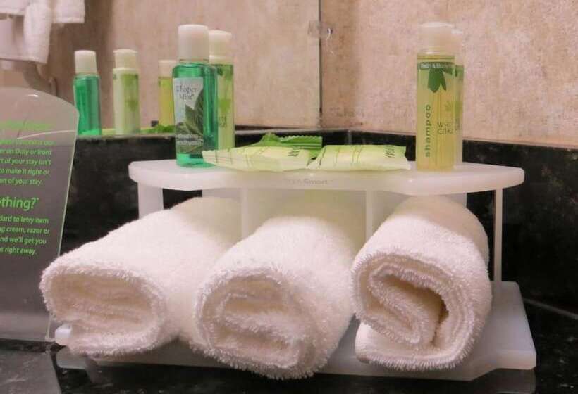 스탠다드 룸 더블 침대 2개, Holiday Inn Express Temecula, An Ihg