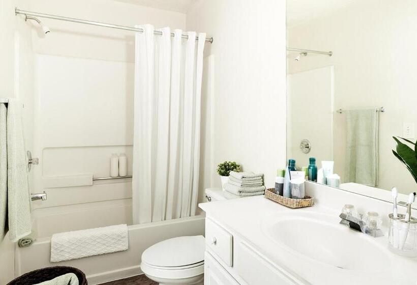스탠다드 스튜디오, Intown Suites Extended Stay Chesapeake Va   I 64 Crossways Blvd