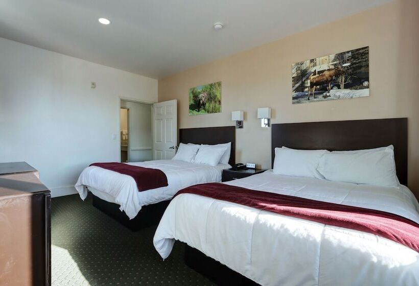 جناح ديلوكس, Puffin Inn