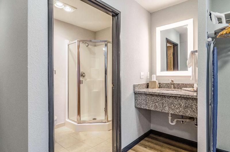 스탠다드 룸 킹사이즈 침대, Red Lion Inn & Suites Des Moines