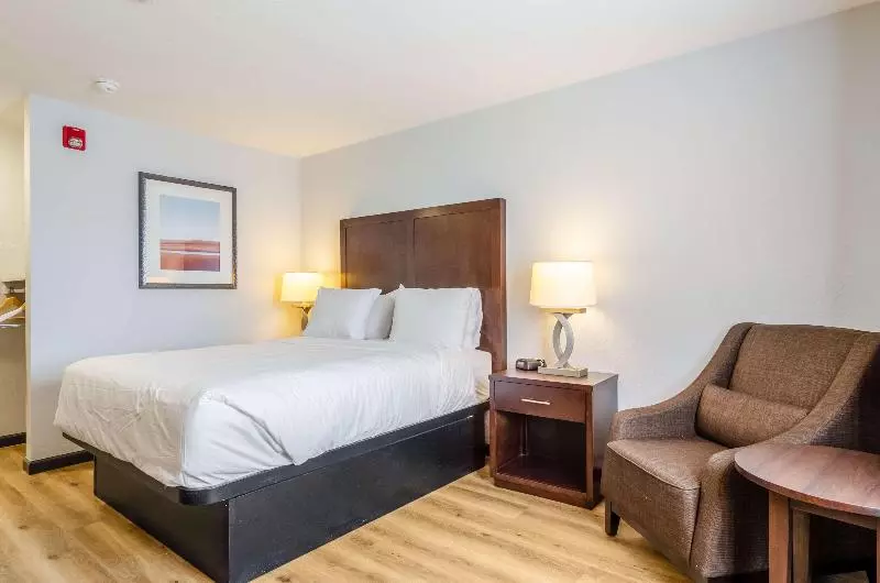 Standard-huone King-vuode, Red Lion Inn & Suites Des Moines