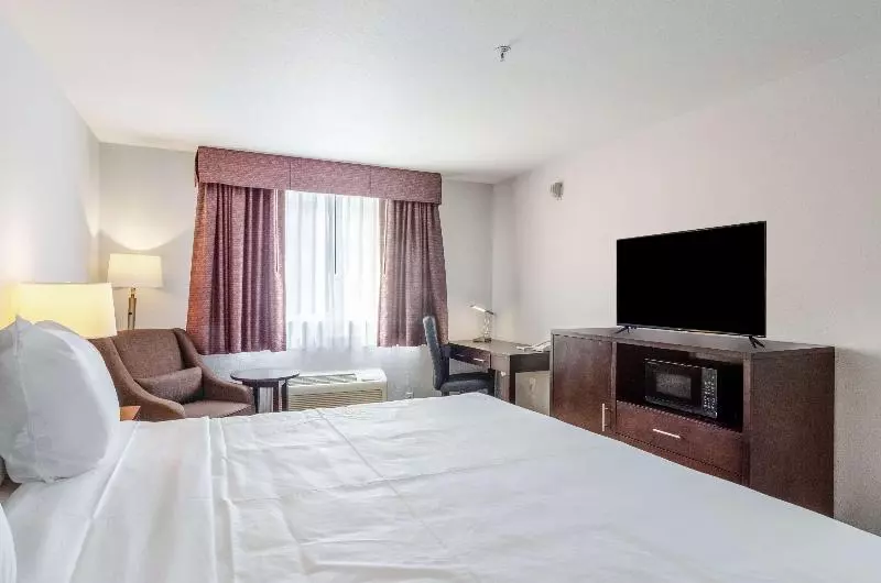 Standard-huone King-vuode, Red Lion Inn & Suites Des Moines