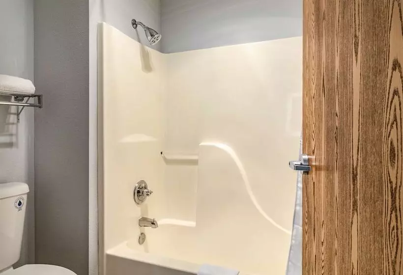 Sviitti King-vuode, Red Lion Inn & Suites Des Moines