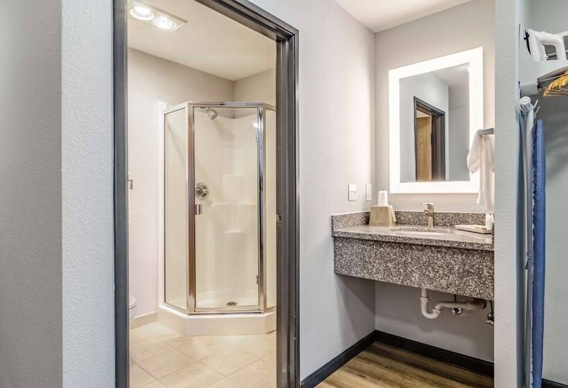 스위트 킹사이즈 침대, Red Lion Inn & Suites Des Moines