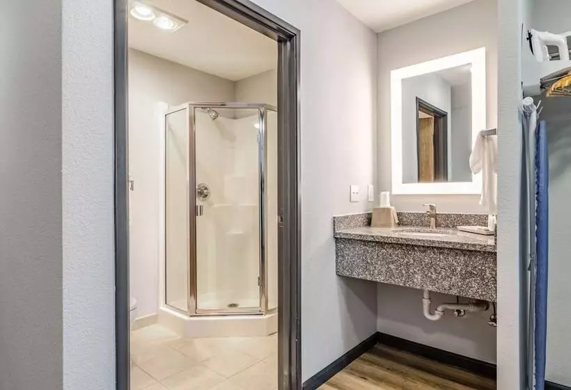 Sviitti King-vuode, Red Lion Inn & Suites Des Moines