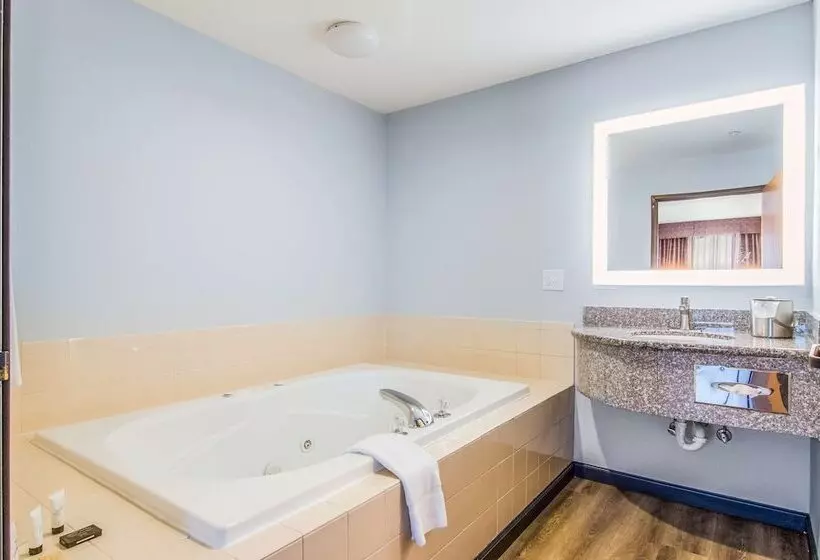 Sviitti King-vuode, Red Lion Inn & Suites Des Moines
