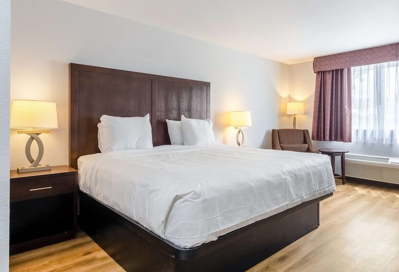 스위트 킹사이즈 침대, Red Lion Inn & Suites Des Moines