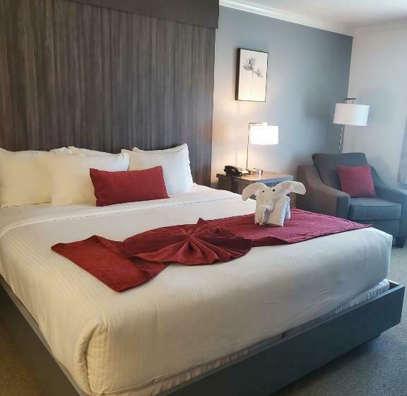 스탠다드 룸 킹사이즈 침대, Sequoia Inn