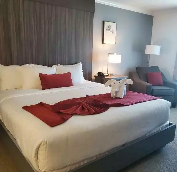 اتاق استاندارد با تخت بزرگ, Sequoia Inn