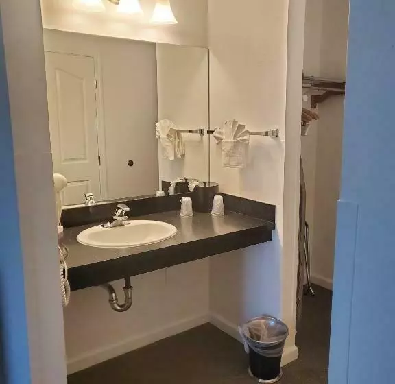 اتاق استاندارد با تخت بزرگ, Sequoia Inn