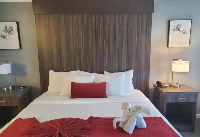 سوییت اجرایی, Sequoia Inn