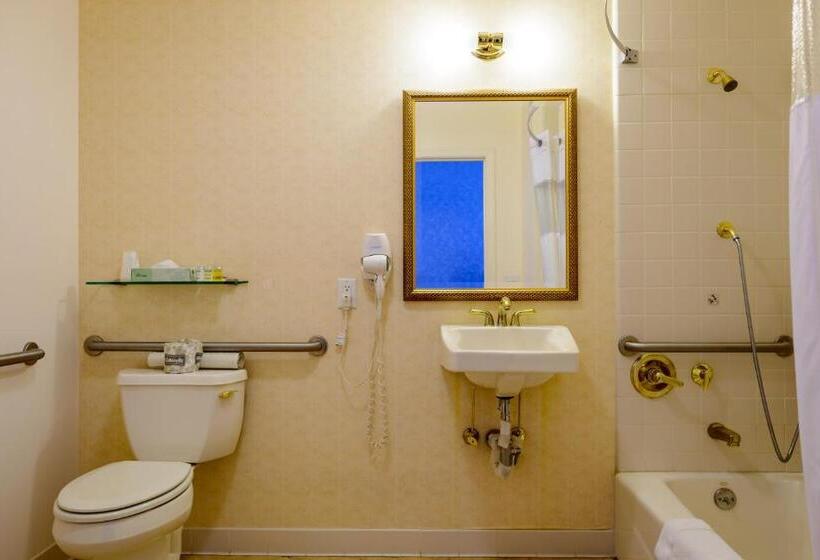 غرفة قياسية سرير كينج, Sw