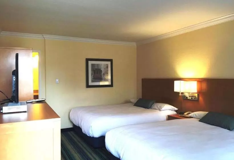 اتاق استاندارد, Surf Motel