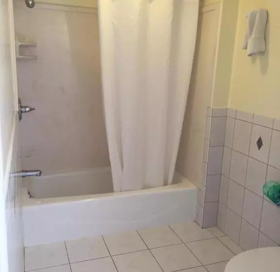 اتاق استاندارد با تخت بزرگ, Surf Motel