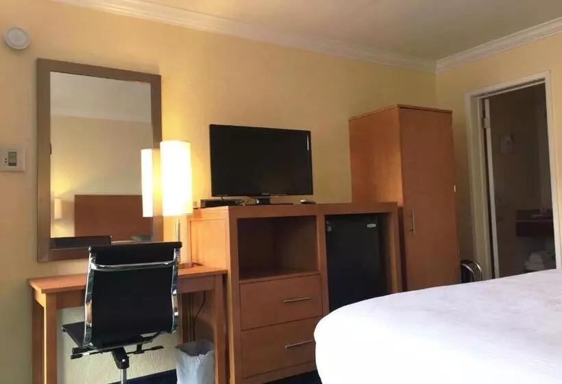 اتاق استاندارد با تخت بزرگ, Surf Motel