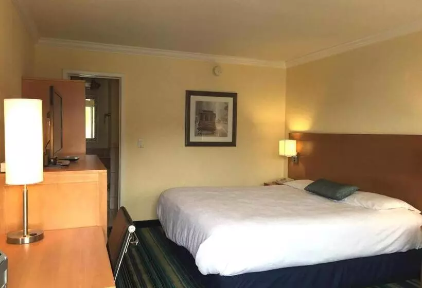 اتاق استاندارد با تخت بزرگ, Surf Motel