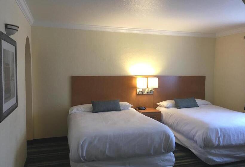 Apartament Rodzinny, Surf Motel