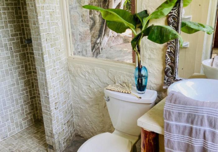 اتاق لوکس, Green Fig Resort & Spa