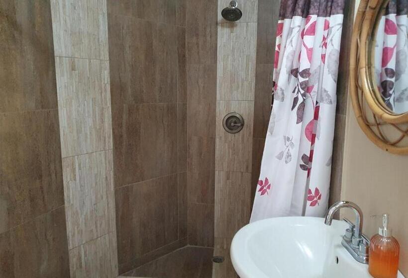 اتاق سوپریور, Green Fig Resort & Spa