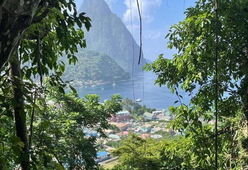 اتاق اکونومی, Green Fig Resort & Spa