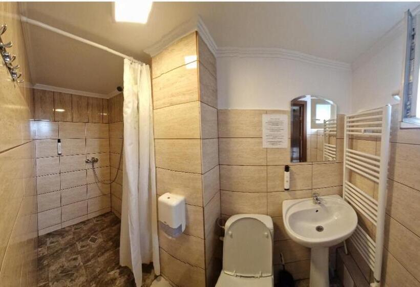 חדר סטנדרט, Casa Vatra Radauti