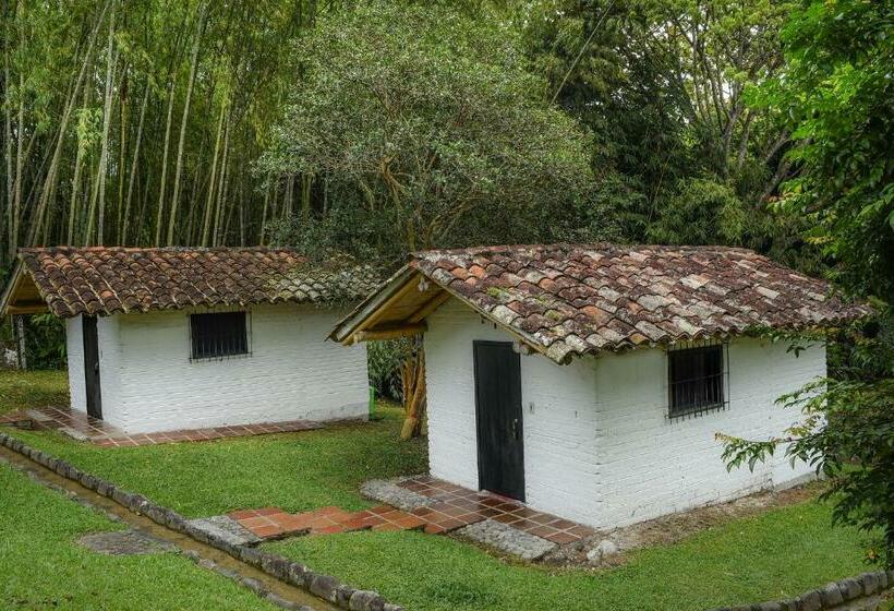 Номер Стандарт Вид на Сад, Eco Hotel Hacienda El Diamante