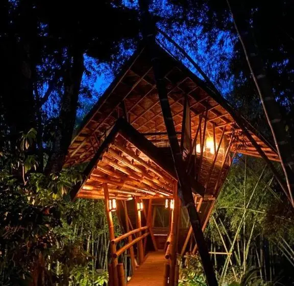 キングサイズベッドのスタンダードルーム, Eco Hotel Hacienda El Diamante