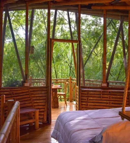 キングサイズベッドのスタンダードルーム, Eco Hotel Hacienda El Diamante
