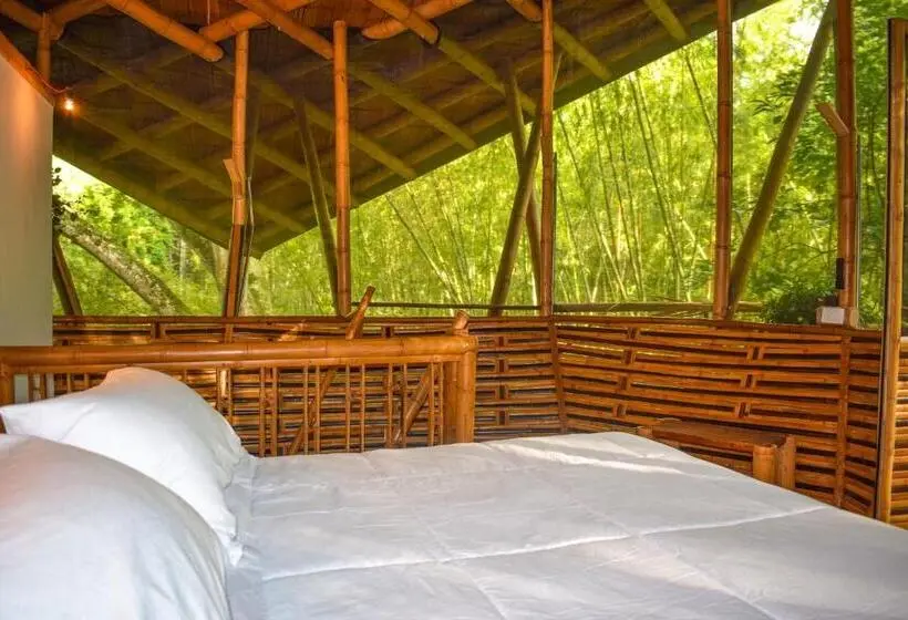 キングサイズベッドのスタンダードルーム, Eco Hotel Hacienda El Diamante
