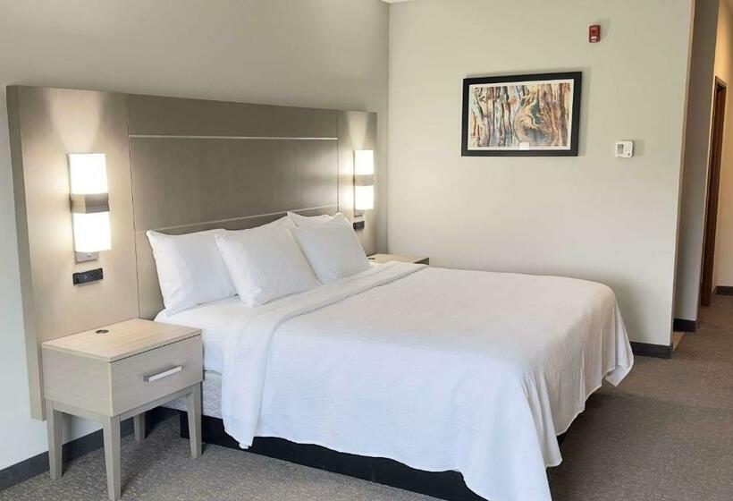 غرفة قياسية سرير كينج لذوى الإحتياجات الخاصة, La Quinta Inn & Suites By Wyndham Jackson Cape Girardeau