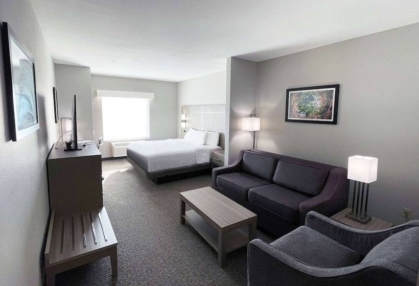 جناح لذوى الاحتياجات الخاصة, La Quinta Inn & Suites By Wyndham Jackson Cape Girardeau