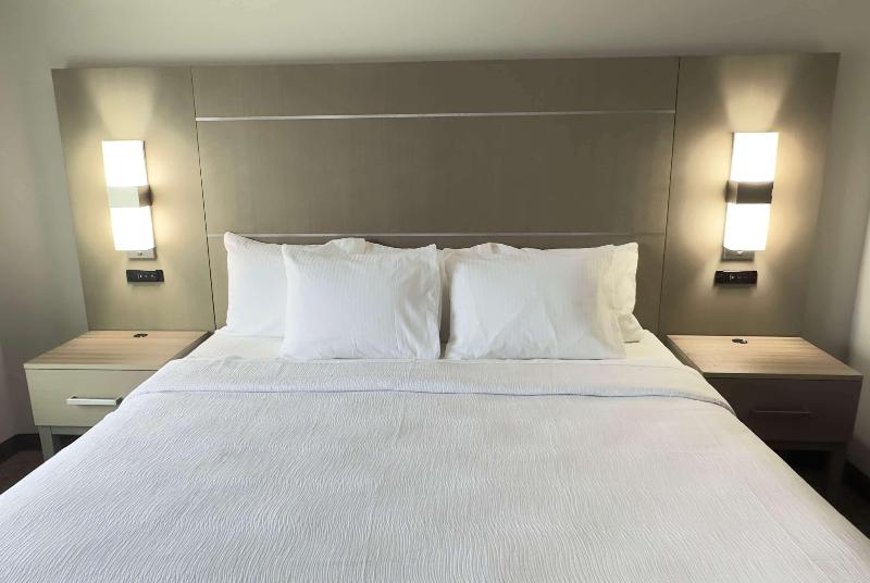 스탠다드 룸 킹사이즈 침대, La Quinta Inn & Suites By Wyndham Jackson Cape Girardeau