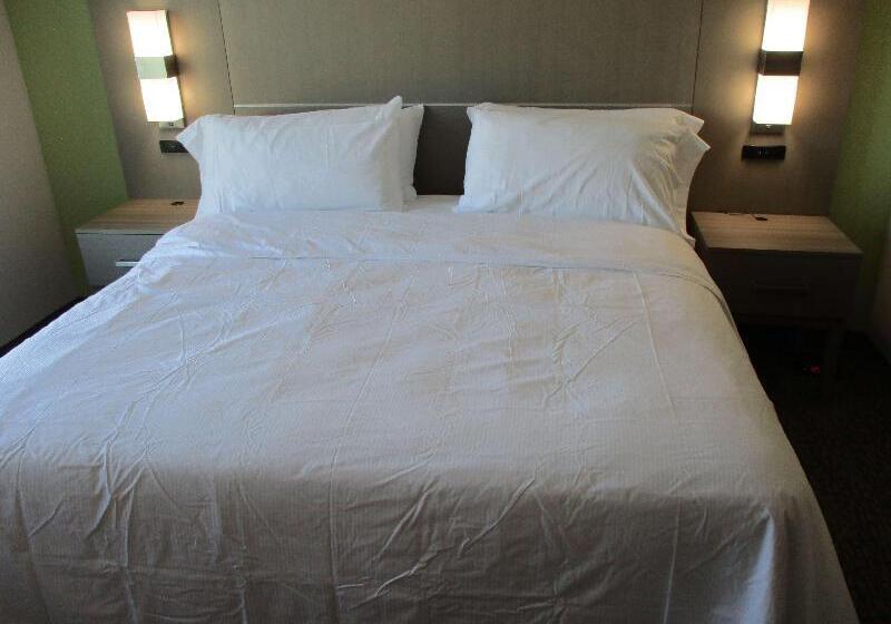 جناح سرير كينج, La Quinta Inn & Suites By Wyndham Jackson Cape Girardeau