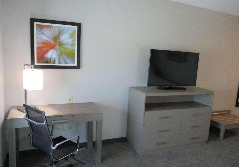 جناح سرير كينج, La Quinta Inn & Suites By Wyndham Jackson Cape Girardeau