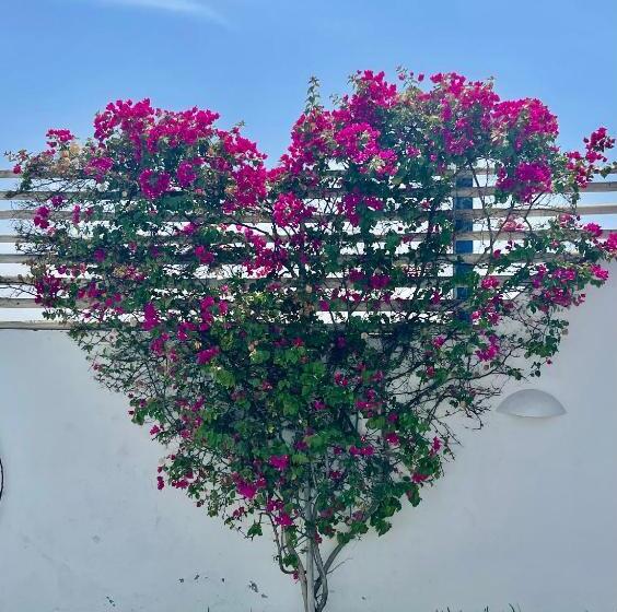 ویلای یک اتاق خوابه با استخر شنا, Villa Aqua Boutique Vichayito