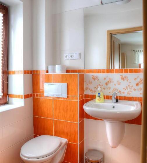 חדר סטנדרט לארבעה, Penzion U Bečvy