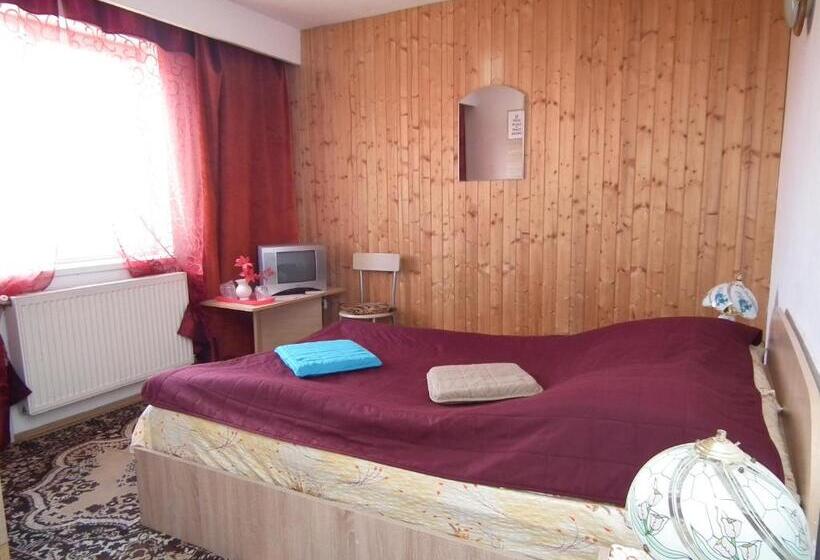 חדר סטנדרט, Pensiunea Ando