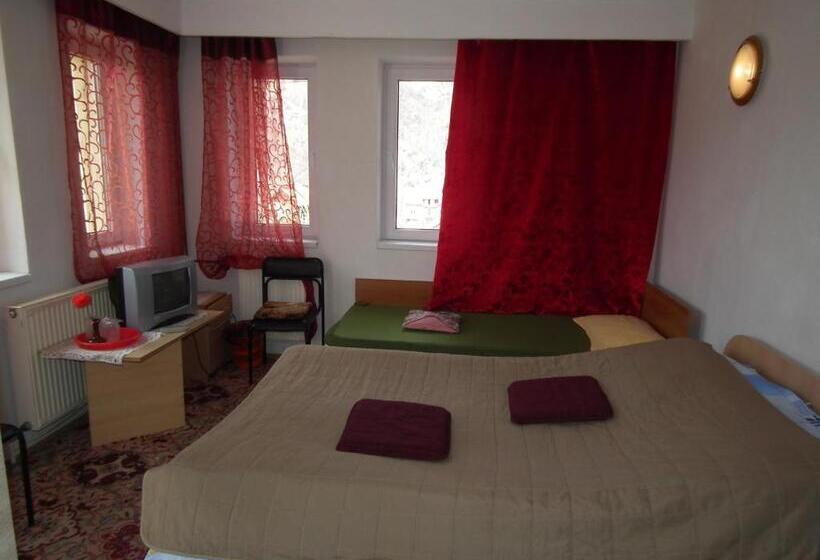 חדר סטנדרט, Pensiunea Ando