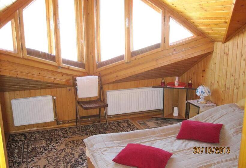 סוויטת 2 חדרי שינה, Pensiunea Ando