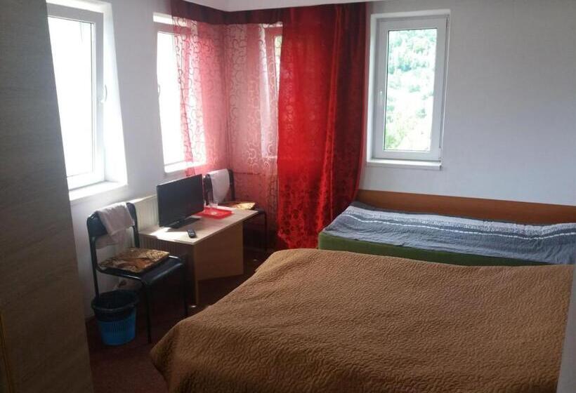 חדר סטנדרט לשלושה, Pensiunea Ando