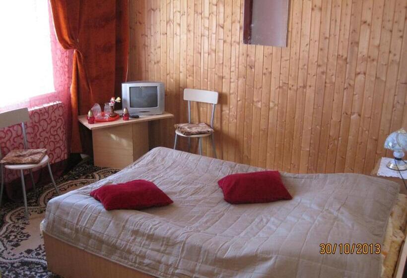 חדר סטנדרט, Pensiunea Ando