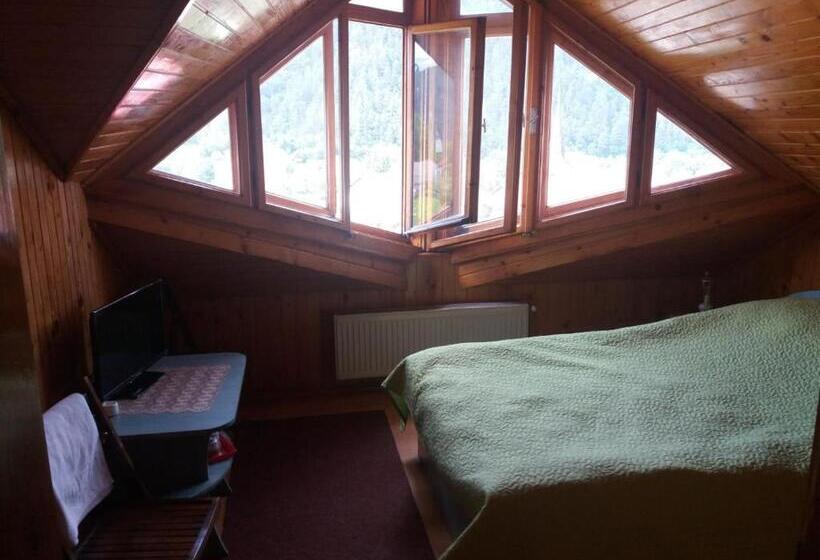 חדר סטנדרט, Pensiunea Ando