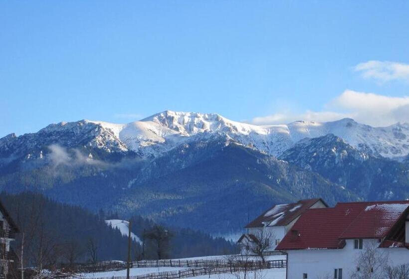 וילה בת חדר שינה 1, Pensiunea Ando