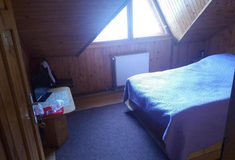 חדר סטנדרט, Pensiunea Ando