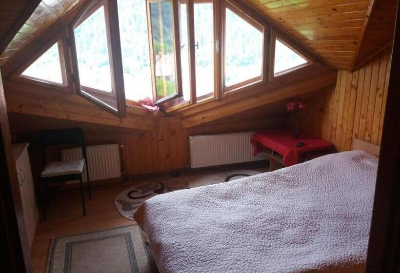 חדר סטנדרט, Pensiunea Ando