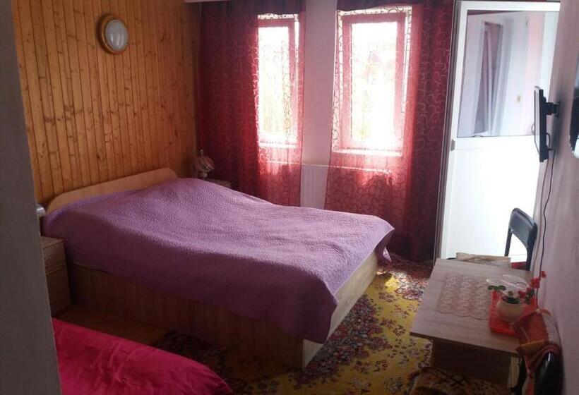 חדר סטנדרט, Pensiunea Ando