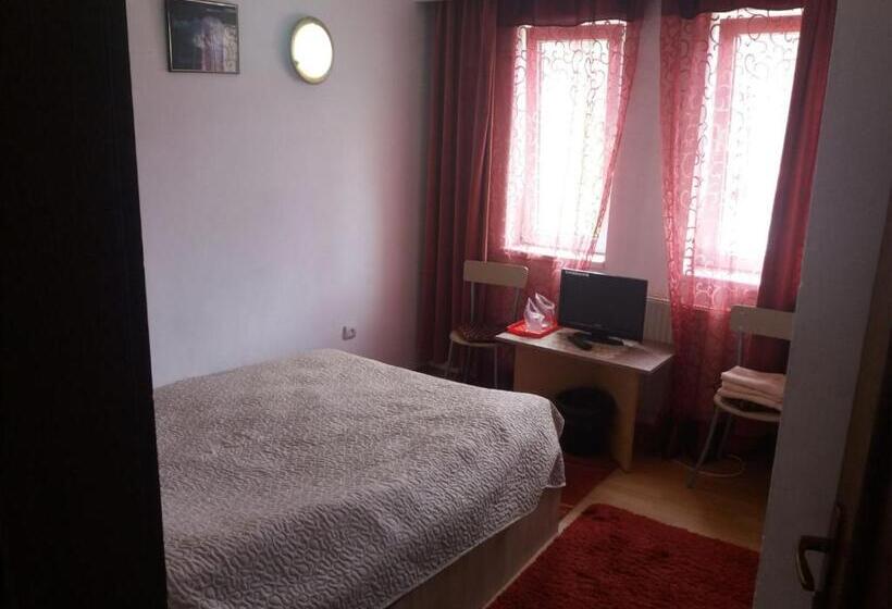 חדר סטנדרט, Pensiunea Ando